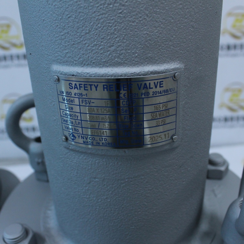 YNV CO., LTD安全阀FSV-1F (2).JPG
