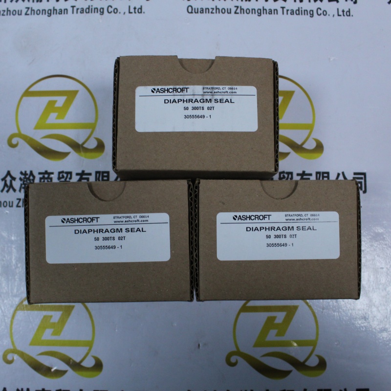 ASHCROFT 隔膜密封件 50-300TS-02T