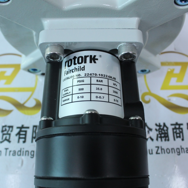 Rotork 直线执行器 PAX1F62D10-10224HJR (10).JPG
